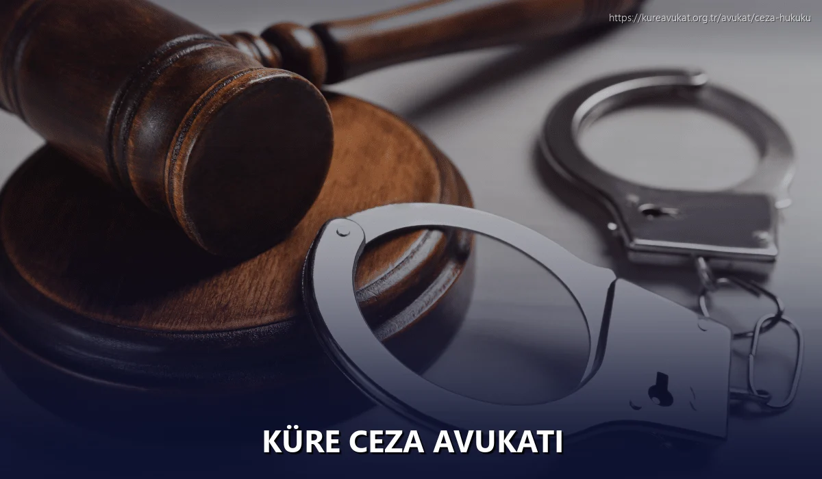 Küre Ceza Avukatı